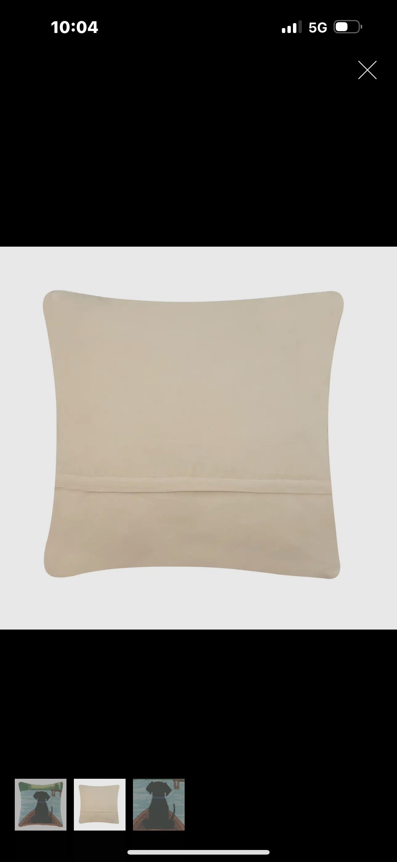 Lab with leash pillow hook with velvet backing